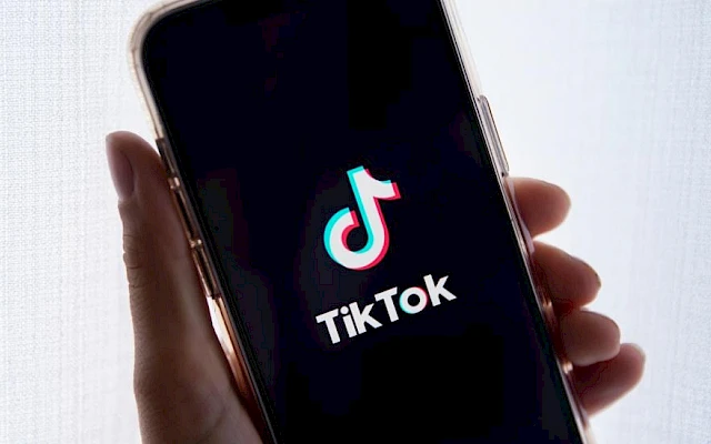 Kripto-reklama Siniše Malog na TikToku izaziva podozrenje