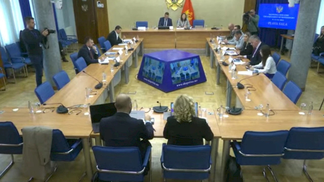 Odbor će saslušavati Mujovića i čelnike kompanija zbog izvještaja BIRN-a