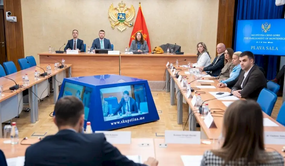 Sa sjednice Odbora za zdravstvo, rad i socijalno staranje. Foto: Skupština Crne Gore