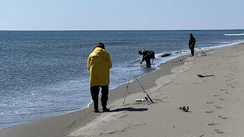 Vlada i privatne firme posjeduju četvrtinu zaleđa Velike plaže
