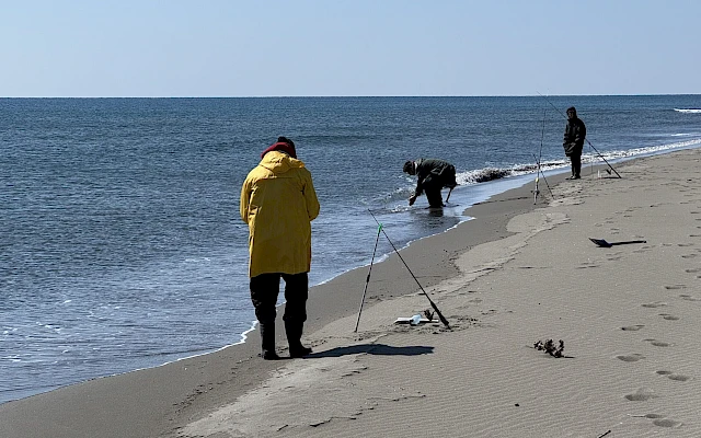 Vlada i privatne firme posjeduju četvrtinu zaleđa Velike plaže