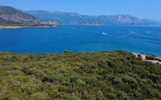 Država ignoriše gradnju u Parku prirode Platamuni