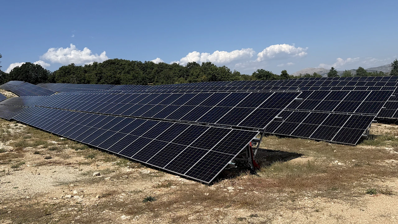 Solarne elektrane prijete zaštićenim vrstama
