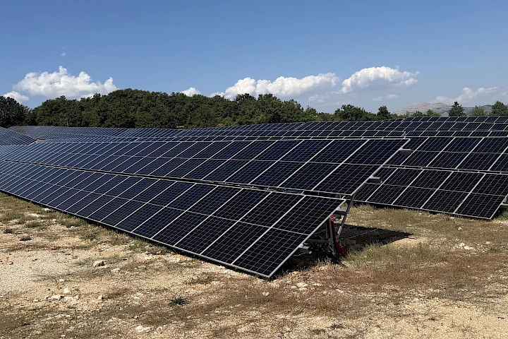 Solarne elektrane prijete zaštićenim vrstama
