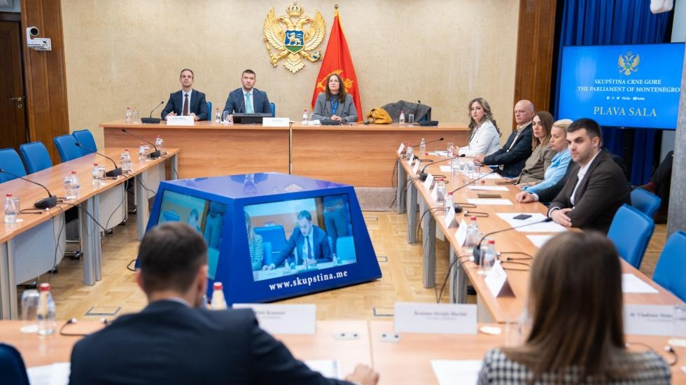 Sa sjednice Odbora za zdravstvo, rad i socijalno staranje. Foto: Skupština Crne Gore