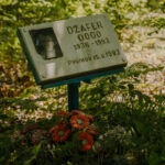 Mjesto na kojem je ubijen Džafer Đogo iz Bukovice. Foto: Građanska alijansa