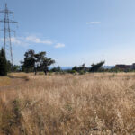 Prostor na kojem su planirane biznis zone u Podgorici. Foto: BIRN/Ivan Ivanović