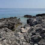 Park prirode Platamuni kod Budve. Foto: BIRN/Samir Kajošević