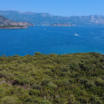 Platamuni su prvo zaštićeno morsko područje u Crnoj Gori. Foto: BIRN/Jovana Damjanović