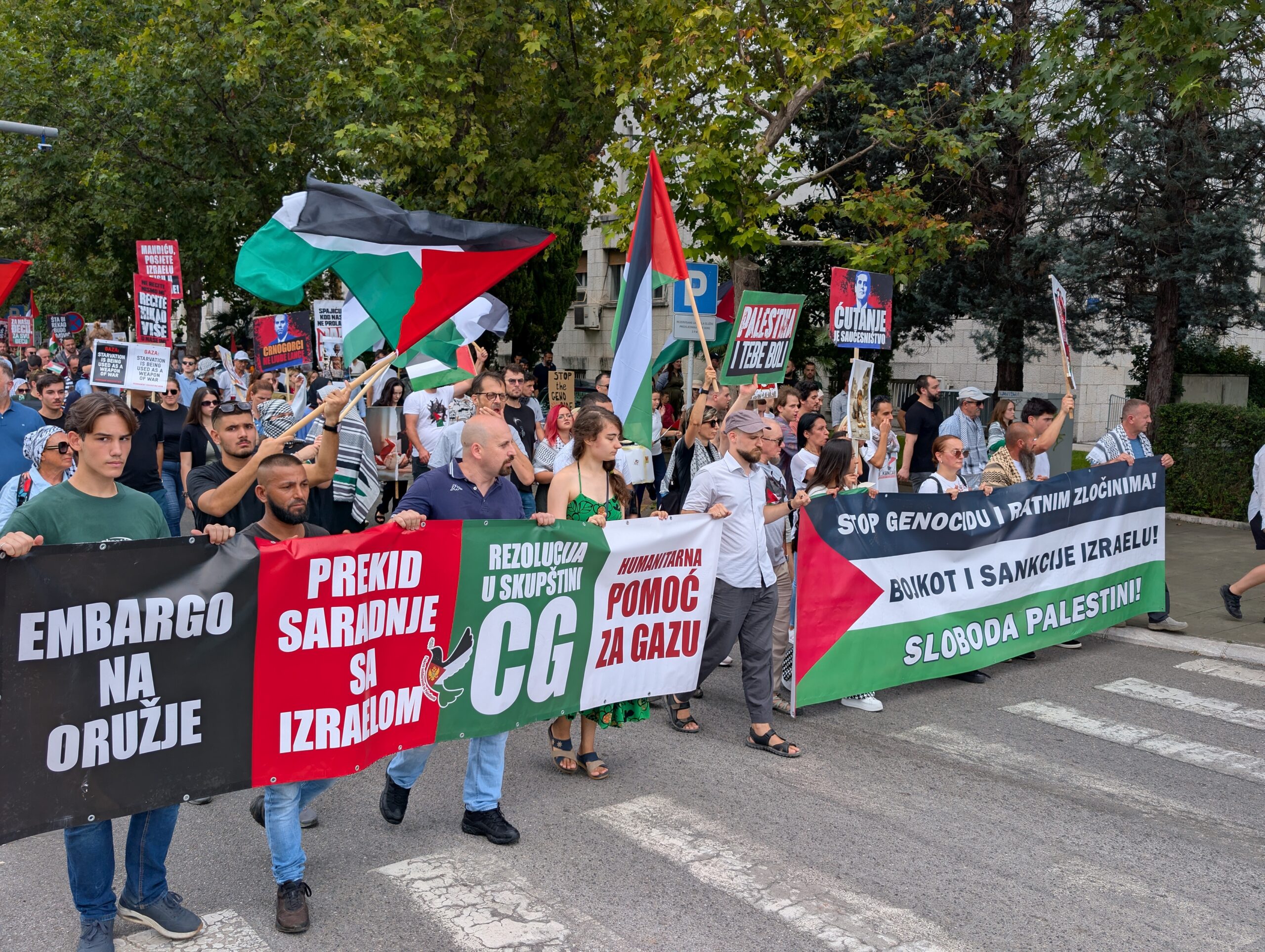Sa protesta u Podgorici. Foto: BIRN/Ivan Ivanović