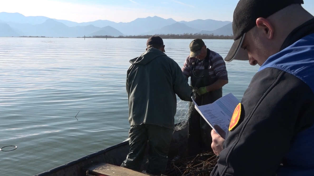 Kontrola ribolovaca na Skadarskom jezeru. Foto: BIRN/Jovan Radulović